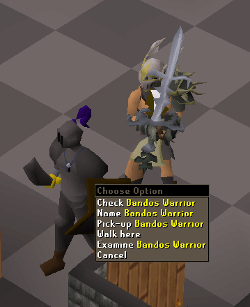 Combat companion progression